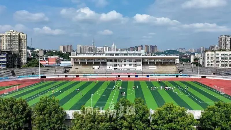 的鱼跃动作 的鱼跃动作